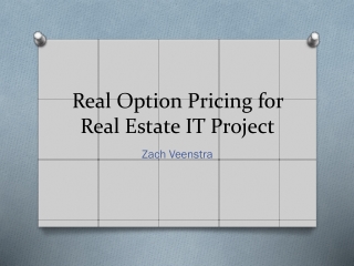 Real Option Pricing for Real Estate IT Project