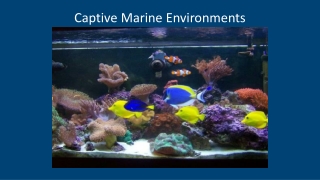 Captive Marine Environments