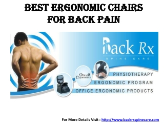 Best Ergonomic Chairs for Back Pain