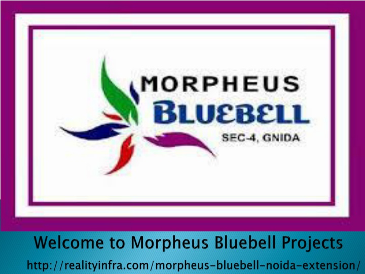 welcome to morpheus bluebell projects