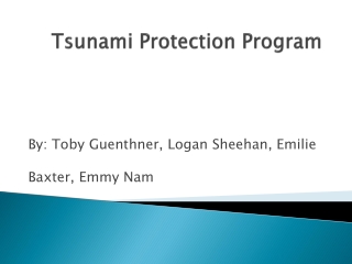 Tsunami Protection Program