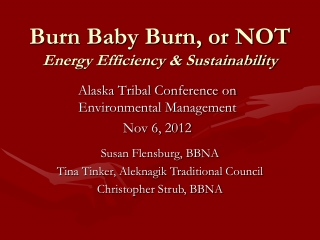 Burn Baby Burn, or NOT Energy Efficiency &amp; Sustainability