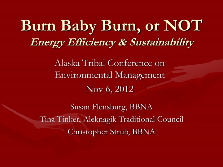 burn baby burn or not energy efficiency sustainability