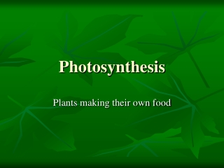 Photosynthesis