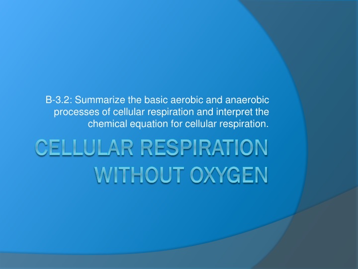 cellular respiration without oxygen
