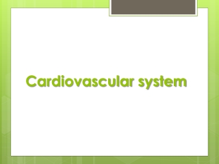 Cardiovascular system