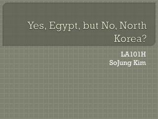 Yes, Egypt, but No, North Korea?