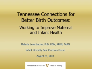 Melanie Lutenbacher, PhD, MSN, APRN, FAAN Infant Mortality Best Practices Forum August 31, 2011