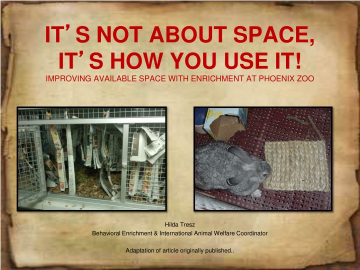 it s not about space it s how you use it improving available space with enrichment at phoenix zoo
