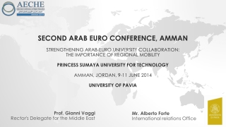 Prof. Gianni Vaggi Rector's Delegate for the Middle East