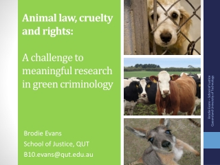 Animal law, cruelty and rights: A challenge to meaningful research in green criminology