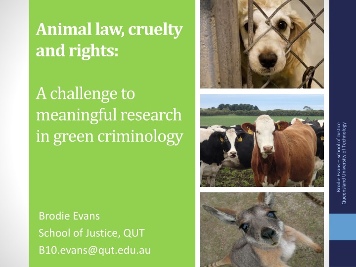 animal law cruelty and rights a challenge to meaningful research in green criminology