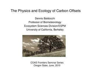 The Physics and Ecology of Carbon Offsets