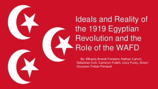 IdeaIs and ReaIity of the 1919 Egyptian RevoIution and the RoIe of the WAFD