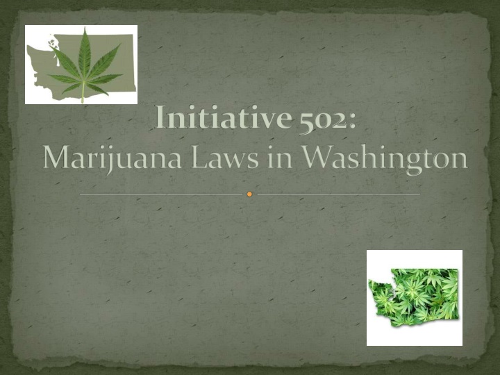initiative 502 marijuana laws in washington