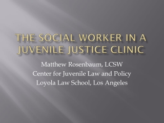 The Social Worker in a Juvenile Justice Clinic