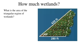 how much wetlands