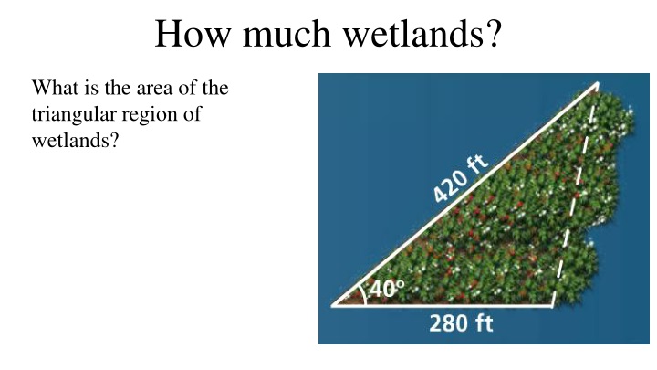 how much wetlands