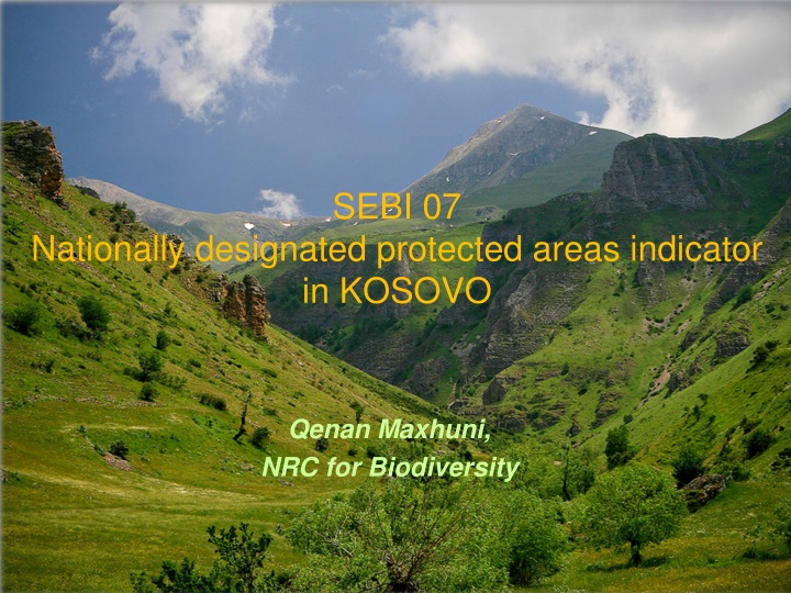 sebi 07 nationally designated protected areas indicator in kosovo