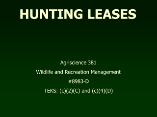 HUNTING LEASES