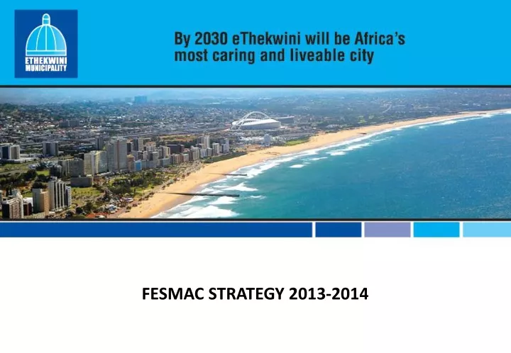 fesmac strategy 2013 2014