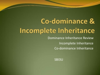 Dominance Inheritance Review