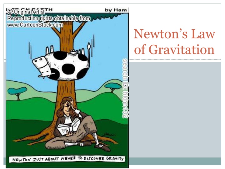 newton s law of gravitation