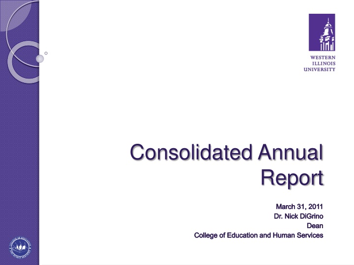 consolidated annual report