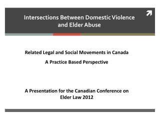 Intersections Between Domestic Violence and Elder Abuse