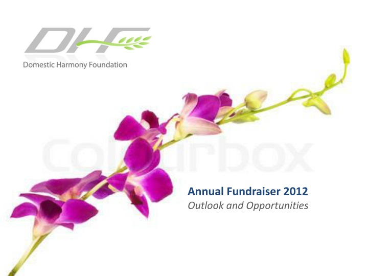annual fundraiser 2012 outlook and opportunities