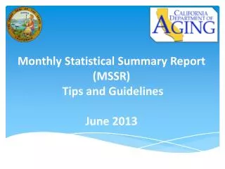 Monthly Statistical Summary Report (MSSR) Tips and Guidelines June 2013