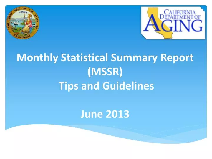 monthly statistical summary report mssr tips and guidelines june 2013