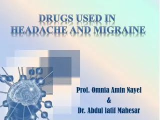 Prof. Omnia Amin Nayel &amp; Dr. Abdul latif Mahesar