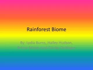 rainforest biome