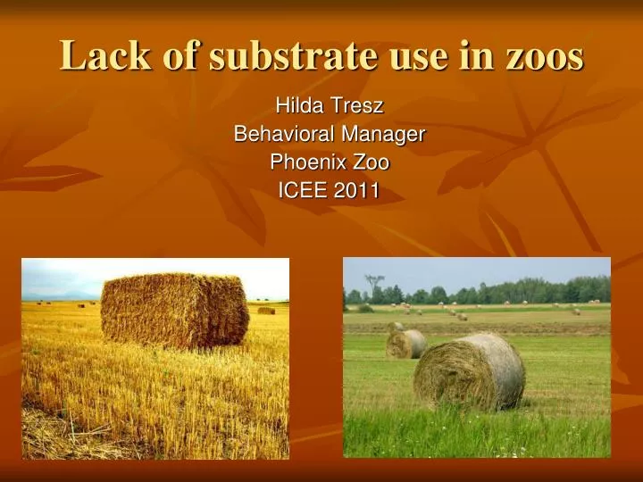 lack of substrate use in zoos