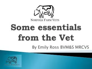 Some e ssentials from the Vet