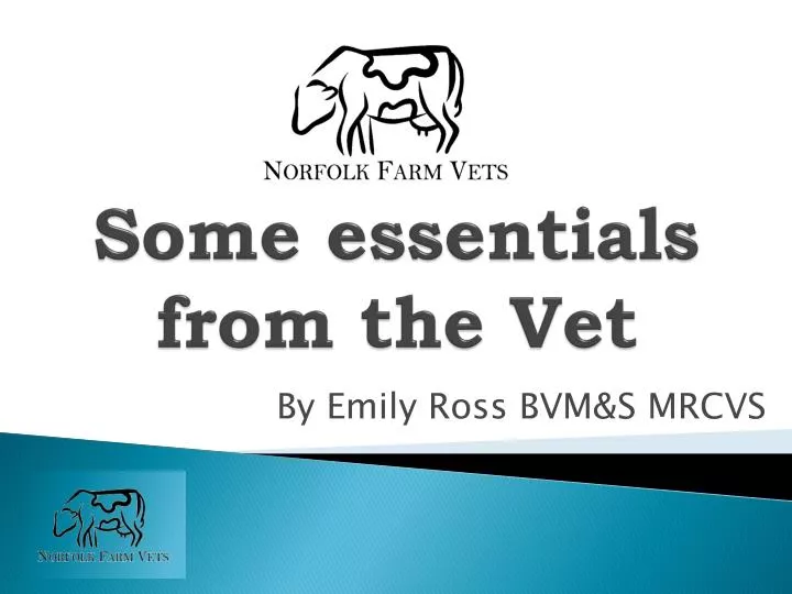 some e ssentials from the vet