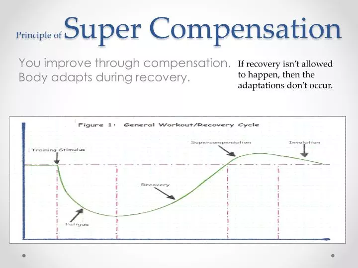 principle of super compensation