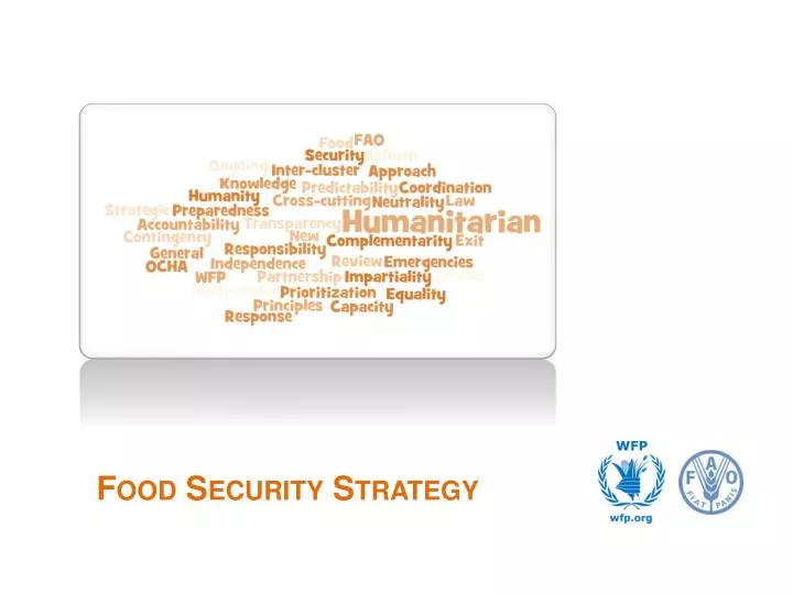 food security strategy