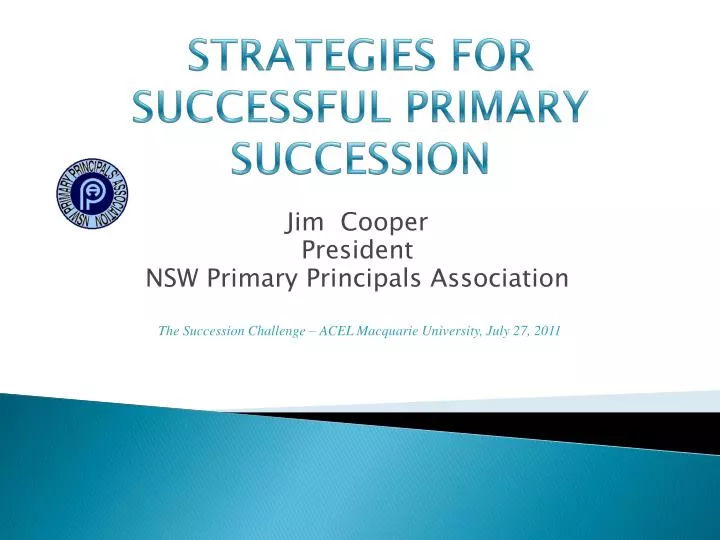 strategies for successful primary succession
