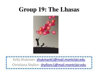 Group 19 : The Lhasas
