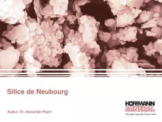 silice de neubourg