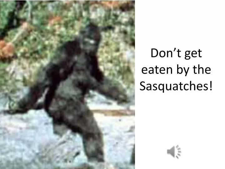 don t get eaten by the sasquatches