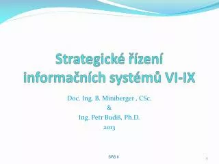 Strategické řízení informačních systémů VI-IX
