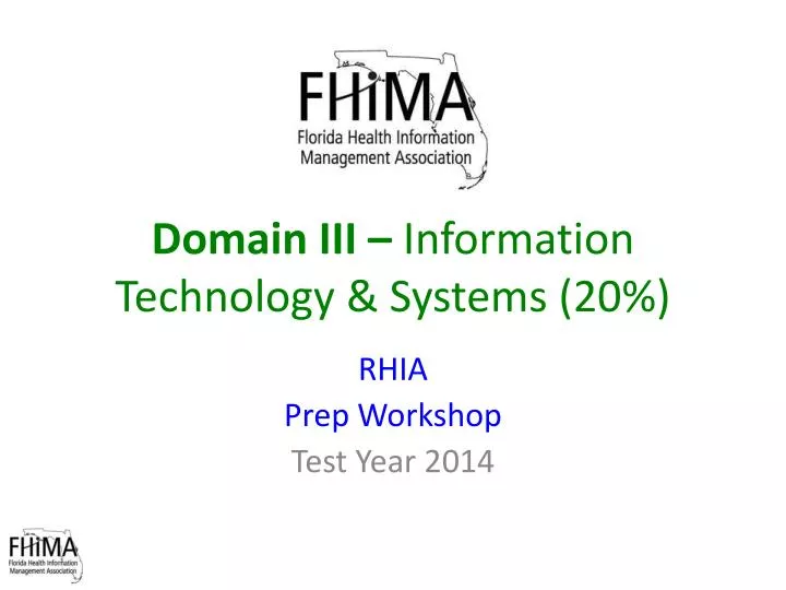 domain iii information technology systems 20