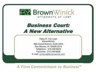 Business Court: A New Alternative