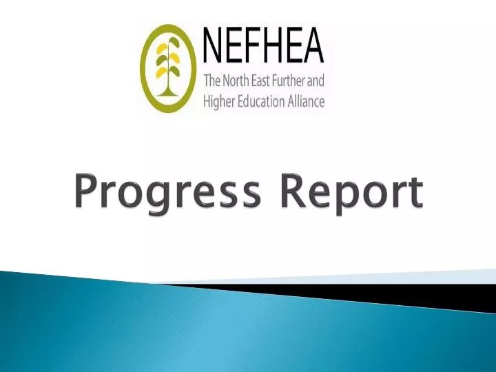 progress report