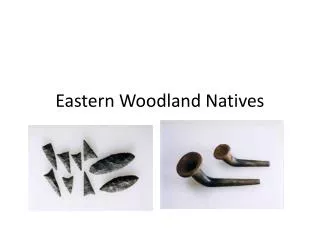 Eastern Woodland Natives