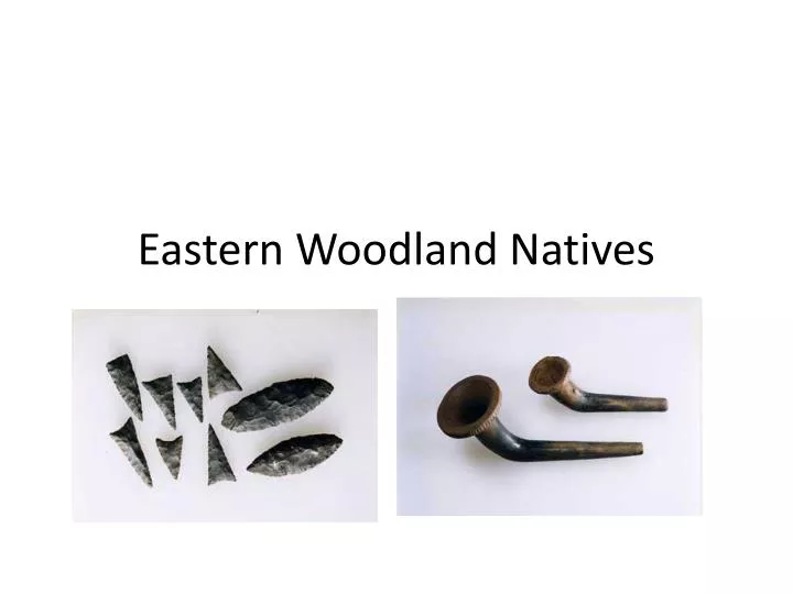 eastern woodland natives