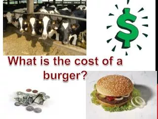 What is the cost of a burger?